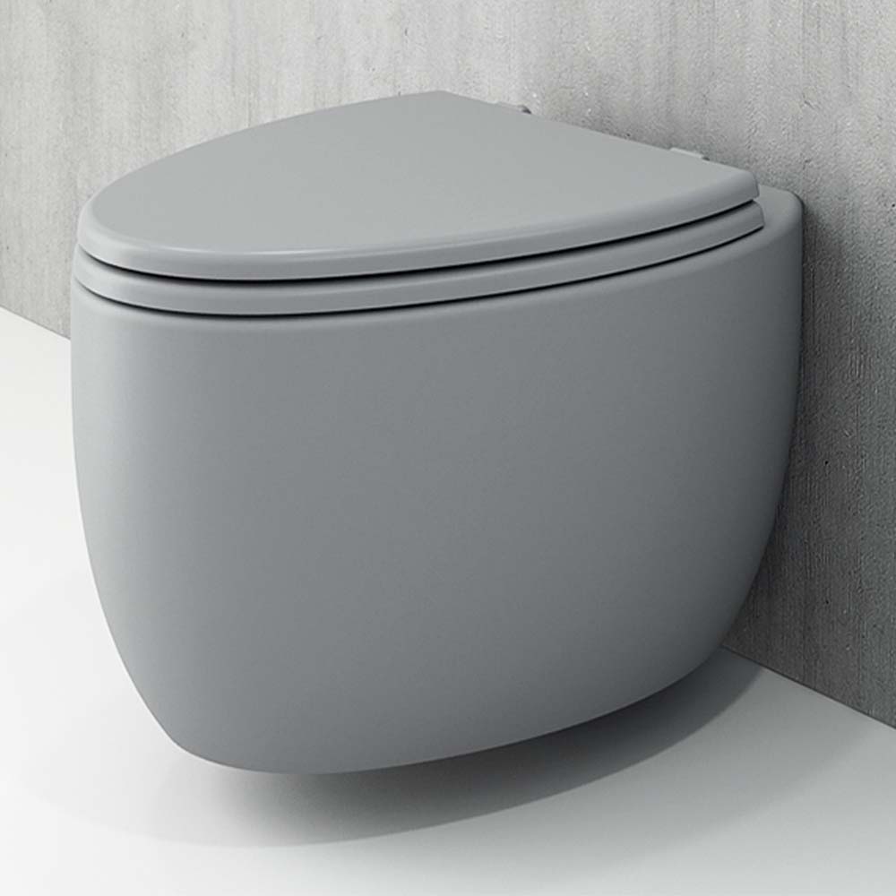 Etna Wall Hung Wc Pan Toilet (combo)