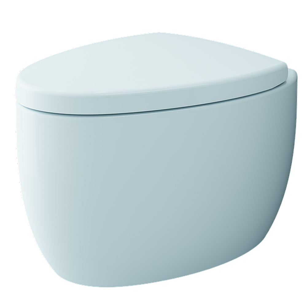 Etna Wall Hung Wc Pan Toilet (combo)