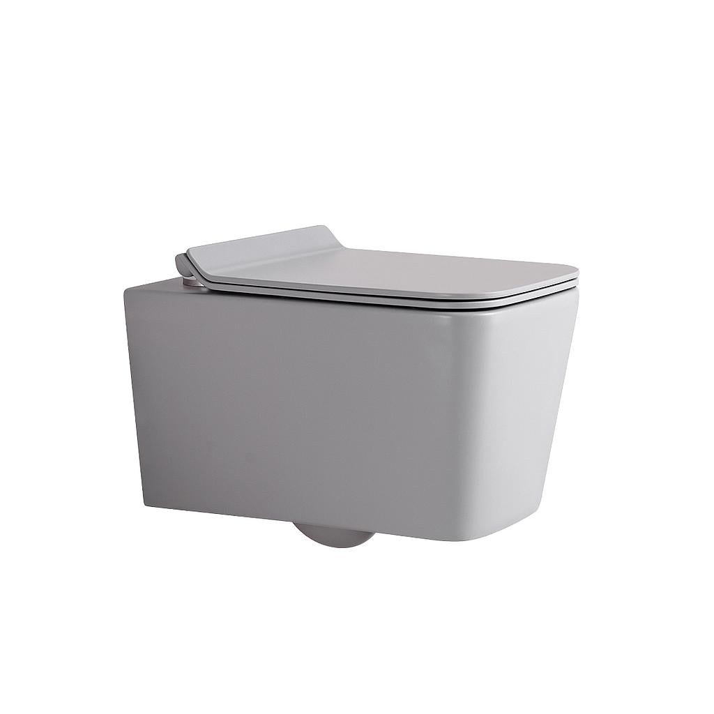 Wall Hung P-Trap Toilet (BX3801 S3 MG)