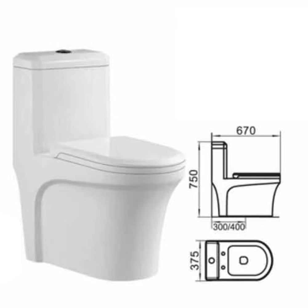 Washdown One-piece Toilet