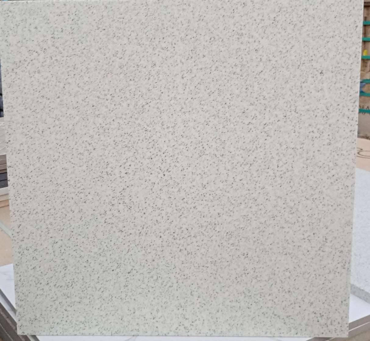 300*300 12SP Ermine White Matt (6,0.54)
