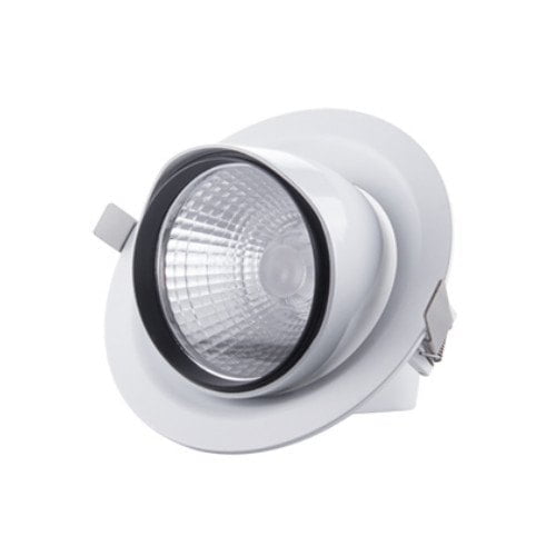 Cob Light White 10w