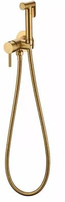 Gold Spray Shower Set