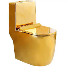 Gold One-Piece Siphonic Toilet