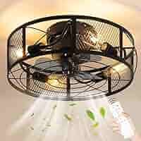 Ceiling Fan Light F8009-1F Black