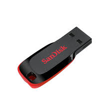Sandisk Cruzer Blade Usb 2.0 Flash Drive