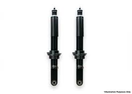 Dobinsons IMS Extended Travel IMS Struts Pair
