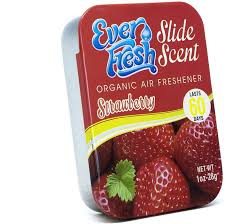 Car Air Freshener Ever Fresh