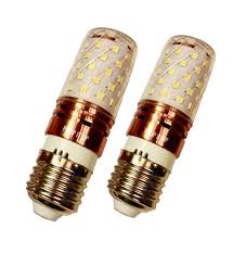 AJL-LED Bald Strong Bulb Light (24W)