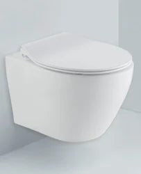 Dream Wall Hung Rim Away Wc