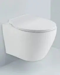 Dream Wall Hung Rim Away Wc BuyonBudget