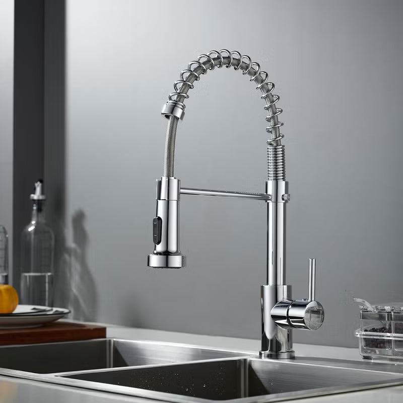 BRIMIX Professional Kitchen Sink Faucet with Pull-Out Sprayer