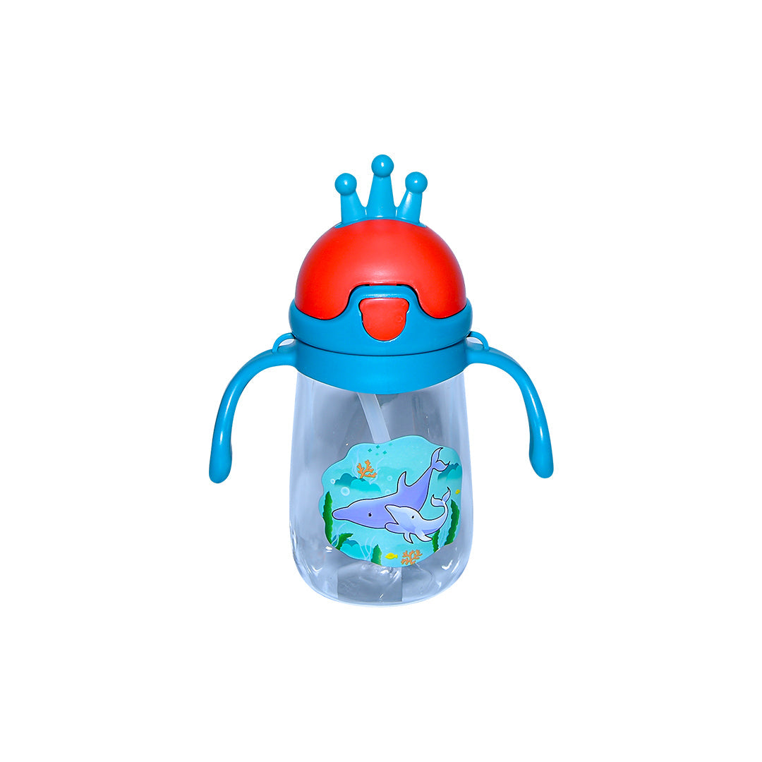 Fj Water Bottle Crown