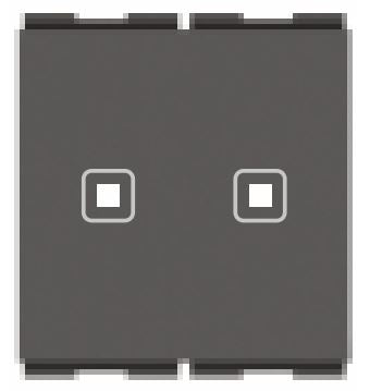 AA 2 563 – 2 Switch Module – Grey