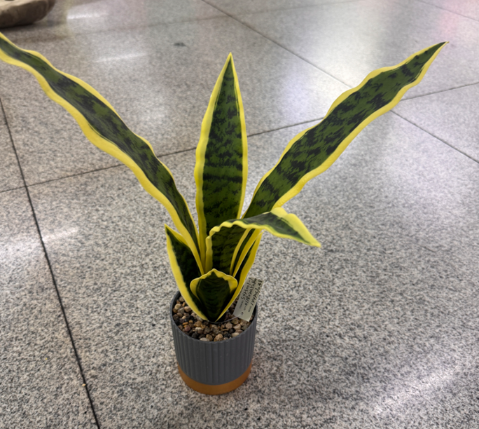ID-AP60 Artificial Plant