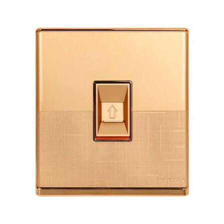 FE198 V1 Matte Golden V1-020 Data Socket