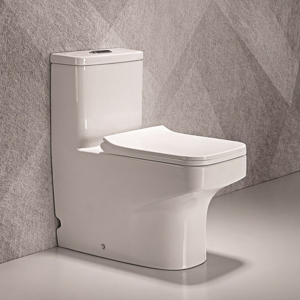 Bathx Single Piece S Trap Modern Toilet -white