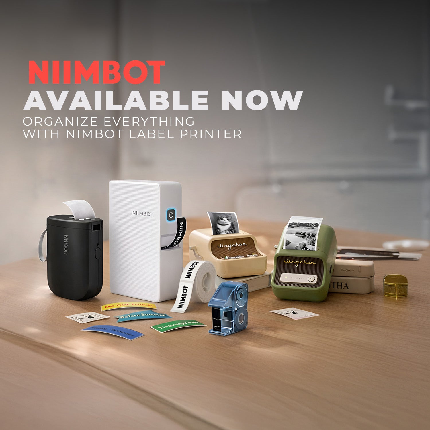 Niimbot Collection - BuyonBudget