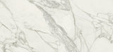 Tile-Medici White Pulido