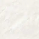 Pearl Bianco Endless Tile (Glossy)
