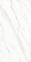 Tile- Calacatta Gold (Polished)