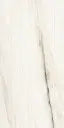 1200*2400 - Bianco Oro Linear (Shape)(4D) (1,2.88)