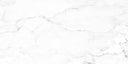 Tile-TRT STATUARIO BIANCO POLISHED