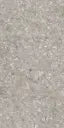 1200*600 Tegza Grey Matt (2,1.44)