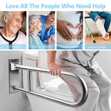 29.5-Inch Stainless Steel Toilet Grab Bar