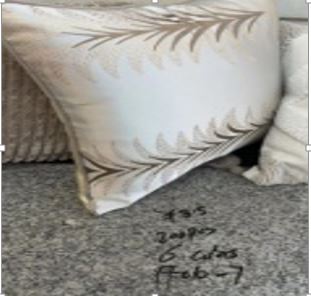 FFO10-7 Decorative Pillow Cover