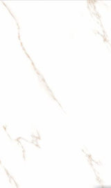 Bianco Stone High Glossy 1600×800 Tile