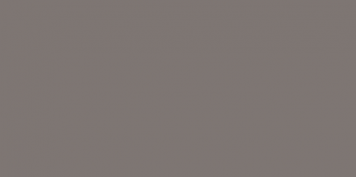 Carpenter Grey