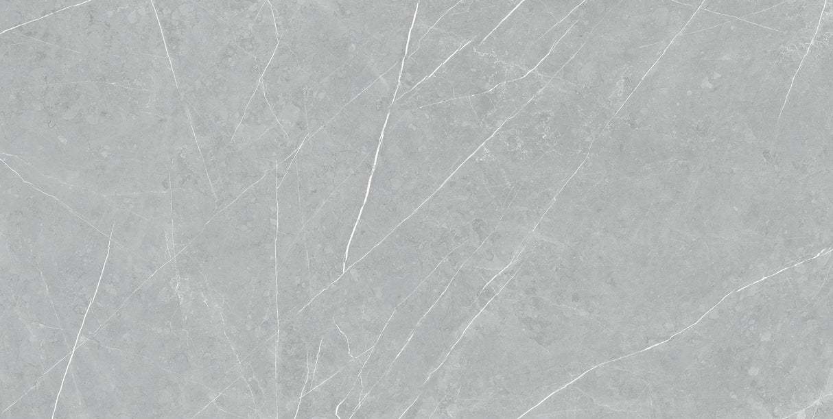 Tile- TU Altamura Silver Matt