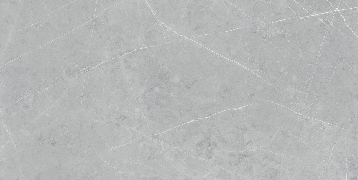 Tile- TU Altamura Silver Matt