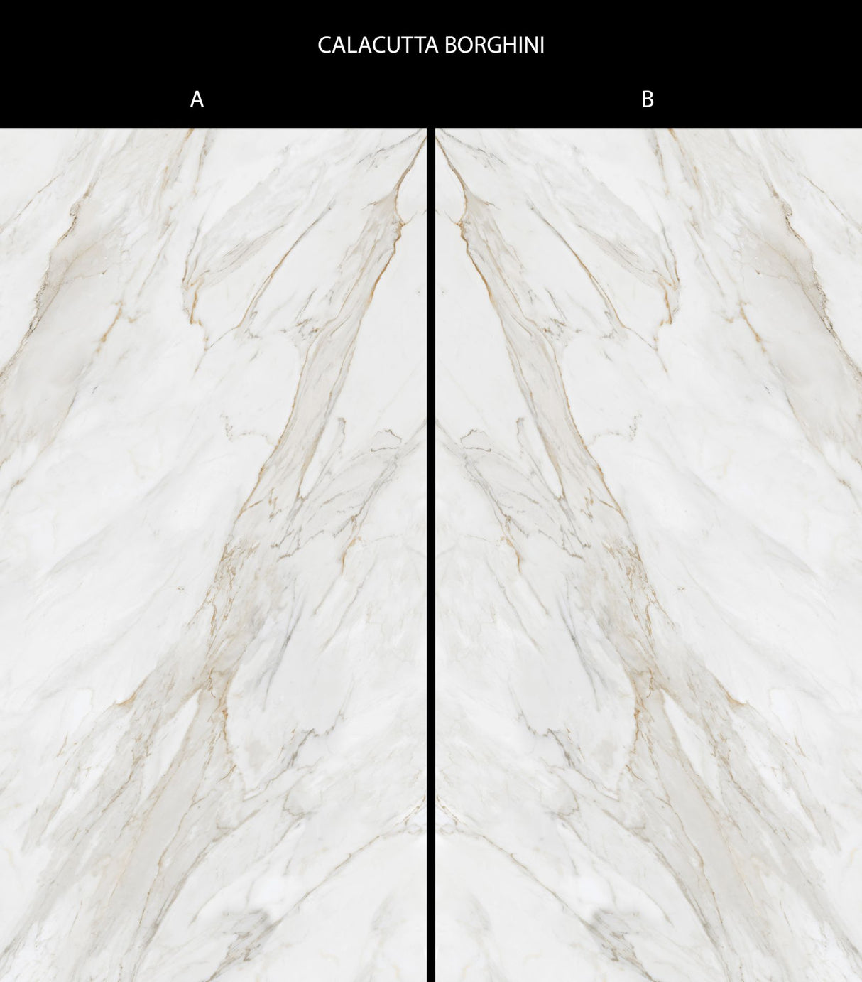 Tile-Calacutta Borghini A