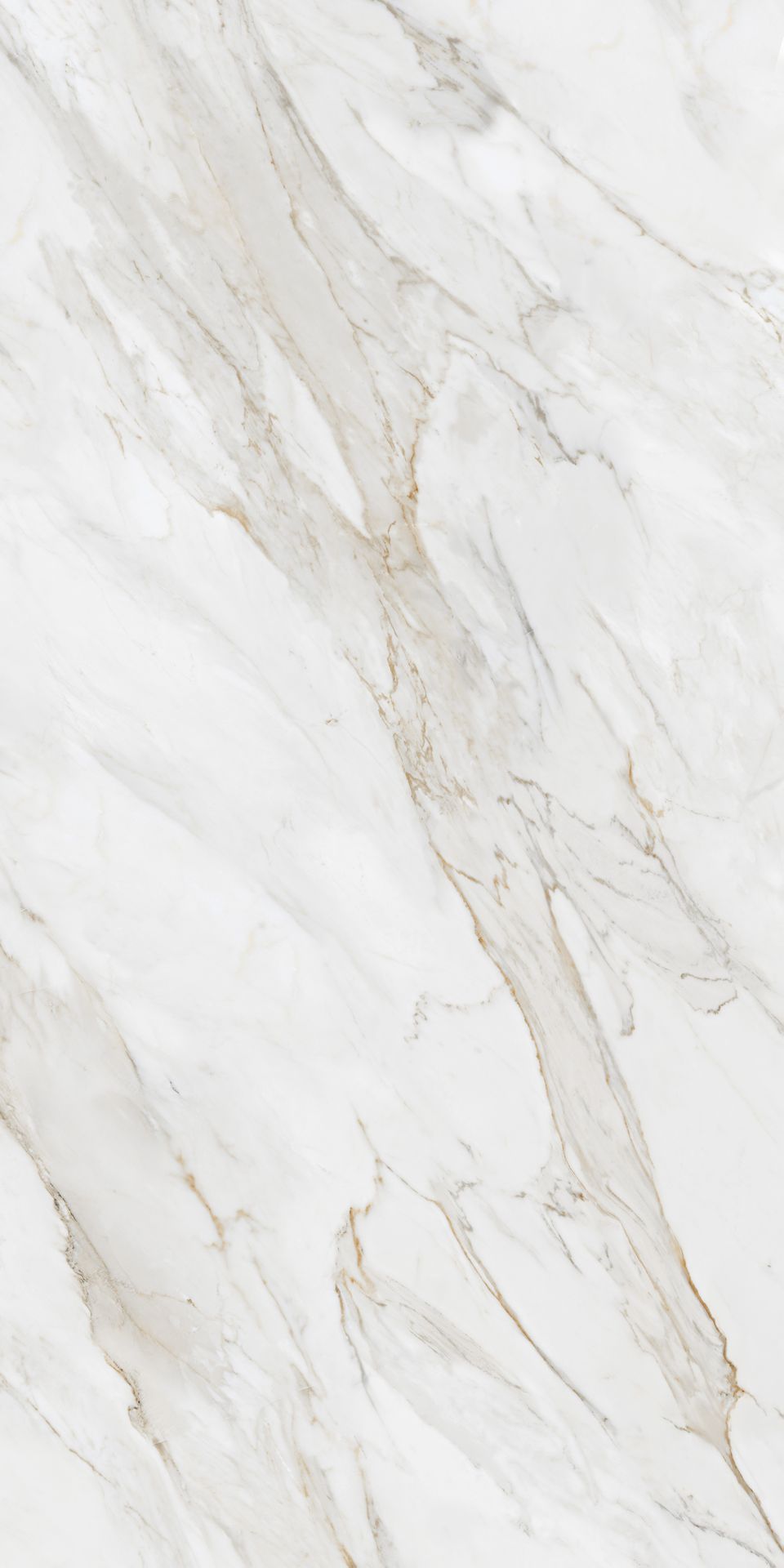 Tile-Calacutta Borghini B