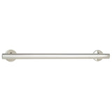 Seachrome 18-Inch Coronado Designer Straight Bathroom Shower Grab Bar
