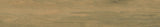200*1200 Ap. Apalache Miele (7,1.68)