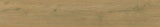 200*1200 Ap. Apalache Miele (7,1.68)