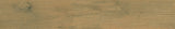 200*1200 Ap. Apalache Miele (7,1.68)