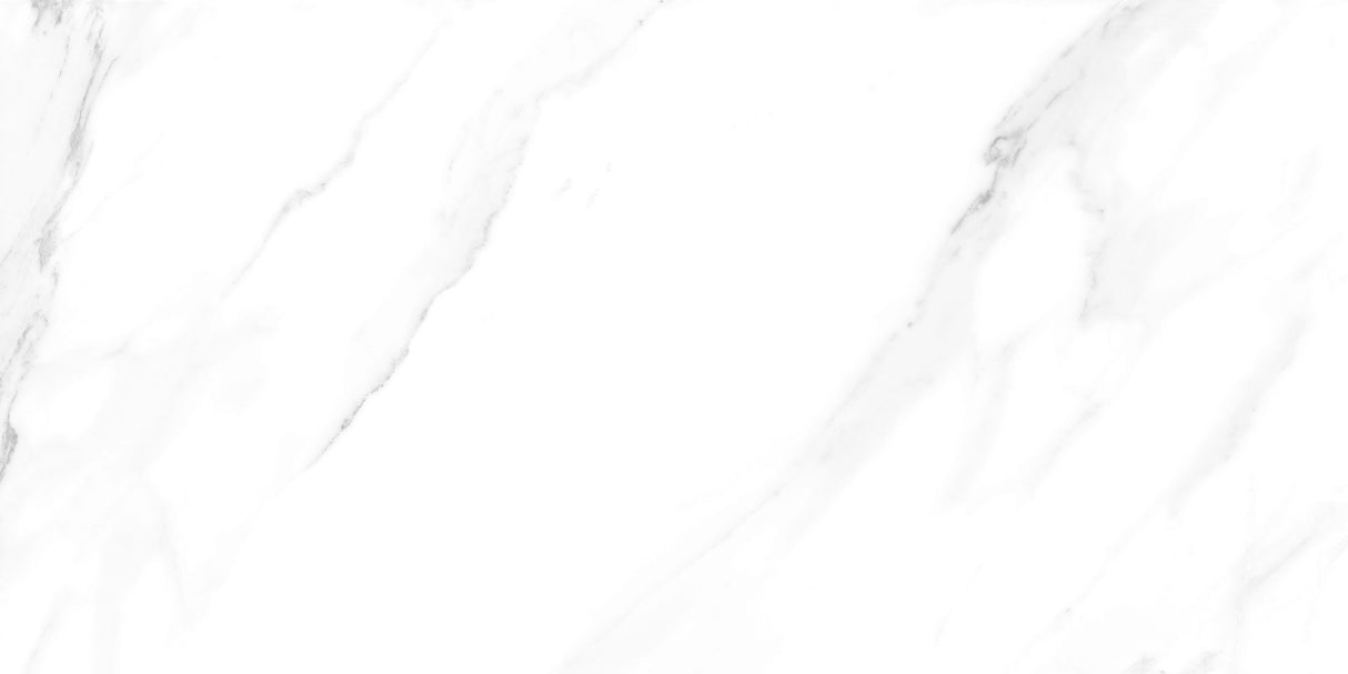 300*600 - RT-Hauz Carrara L (5,0.90)