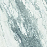 Tile-CF Thasos White Pulido Pul