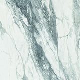 Tile-CF Thasos White Pulido Pul