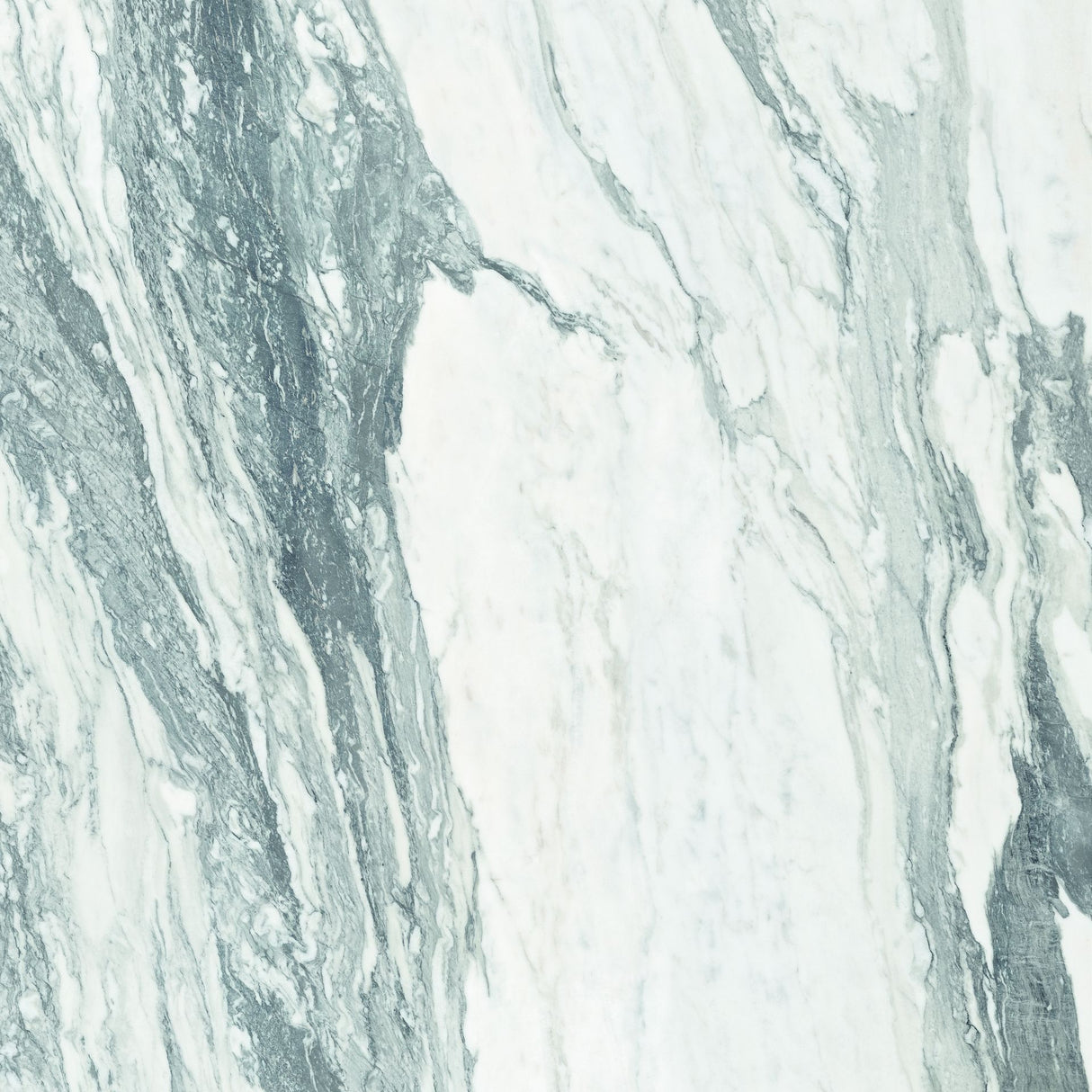 Tile-CF Thasos White Pulido Pul