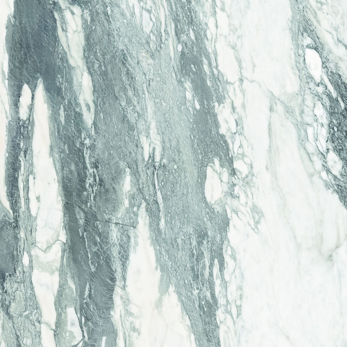 Tile-CF Thasos White Pulido Pul