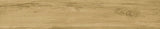 Tile-Royal Almond
