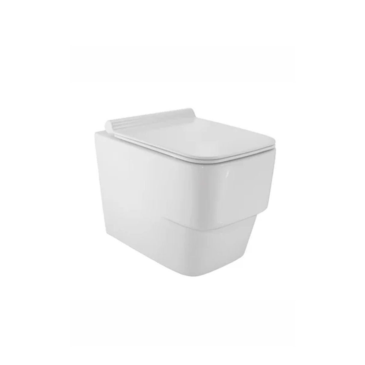 Rimless Blind Installation Wall-Hung WC