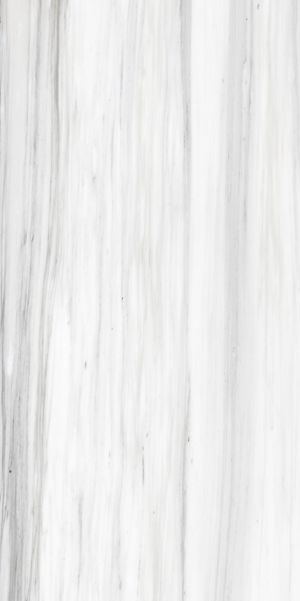 Tile-Siena White (Glossy)