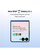 Galaxy Z Flip 7 FE Dual SIM Black 8GB 256GB 5G - Middle East Version