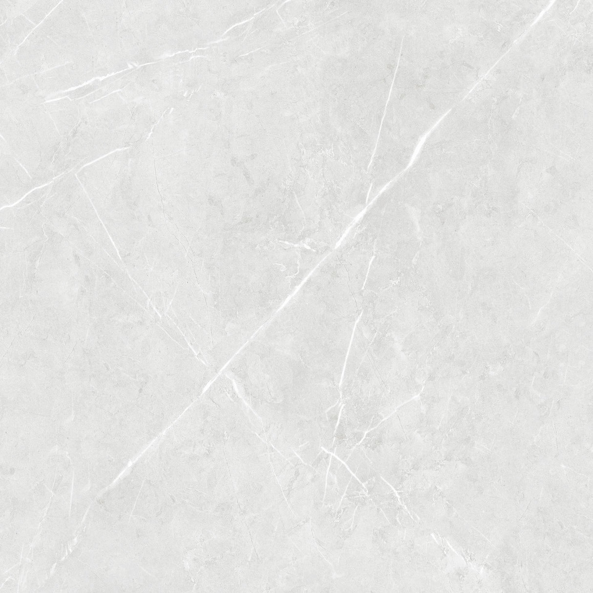 Tile Prozzo 6-8118 Matt 600x600